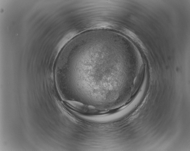 X0000068841234200605051253