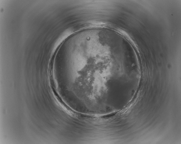 X0000068841235200605051253