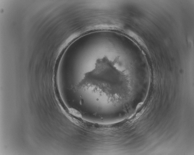 X0000068841237200605051253