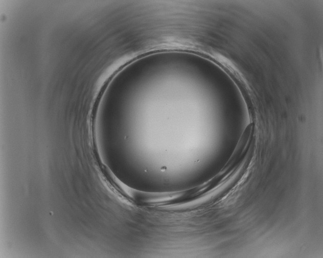 X0000068841238200605051253