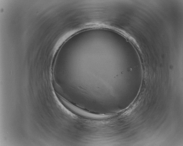 X0000068841239200605051253