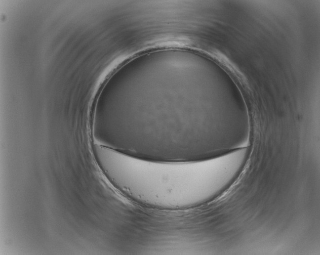 X0000068841240200605051253