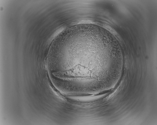 X0000068841241200605051253