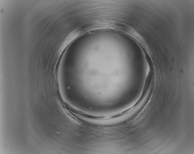 X0000068841242200605051253