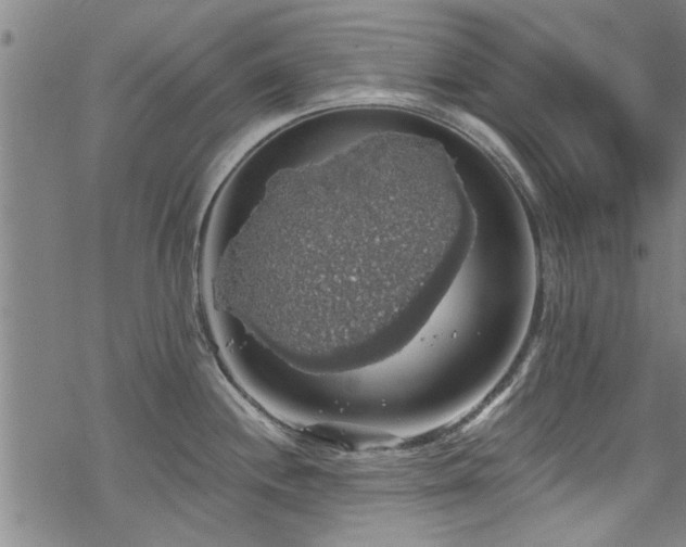 X0000068841244200605051254