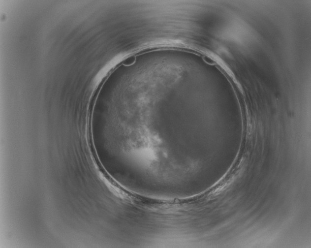 X0000068841245200605051254