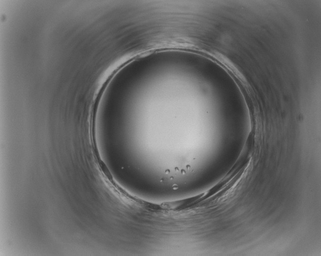 X0000068841246200605051254