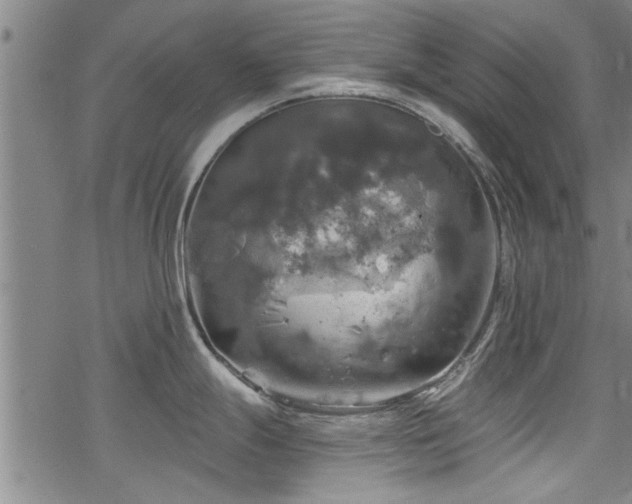 X0000068841247200605051254