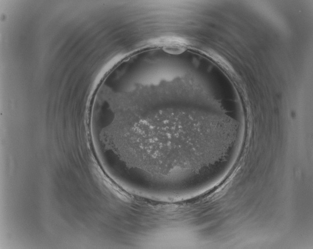 X0000068841248200605051254