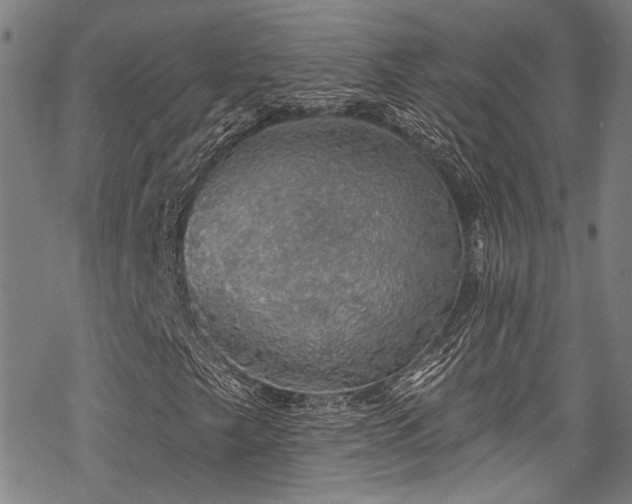 X0000068841249200605051253