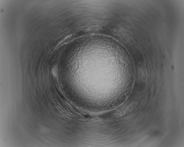 X0000068841250200605051253