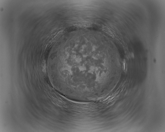 X0000068841251200605051253