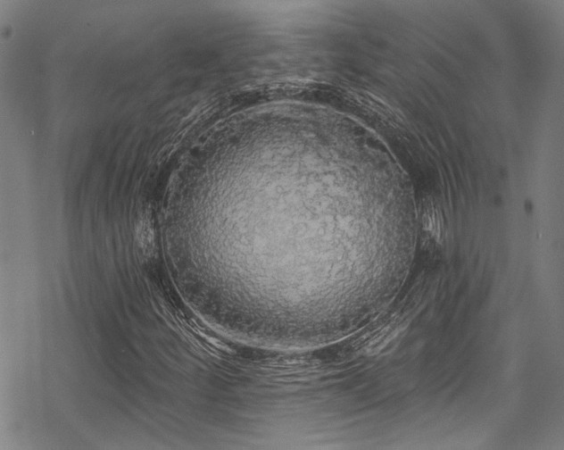 X0000068841252200605051253