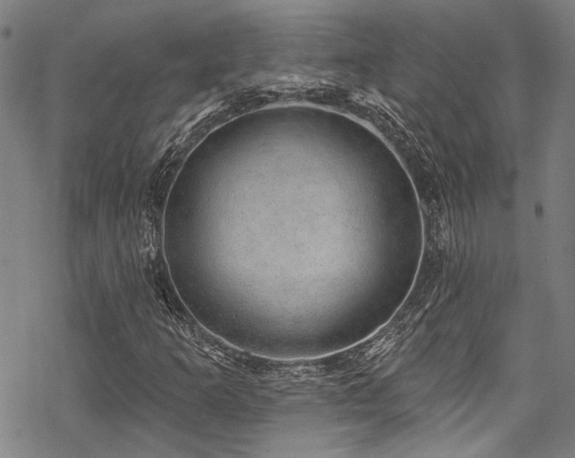 X0000068841253200605051253