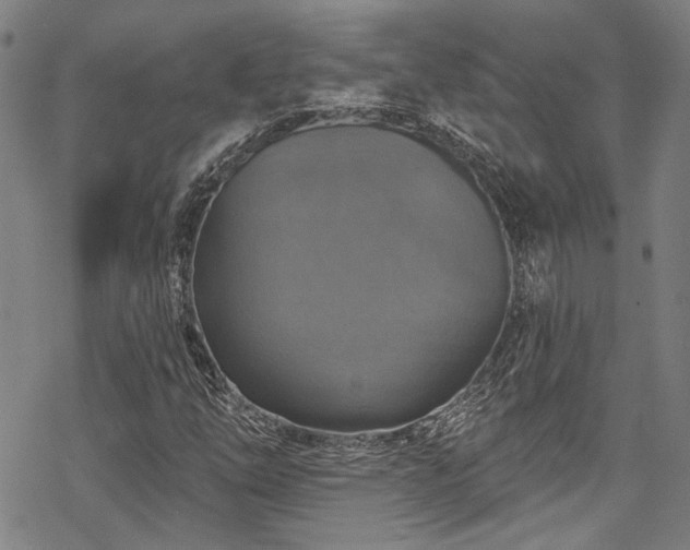 X0000068841254200605051253