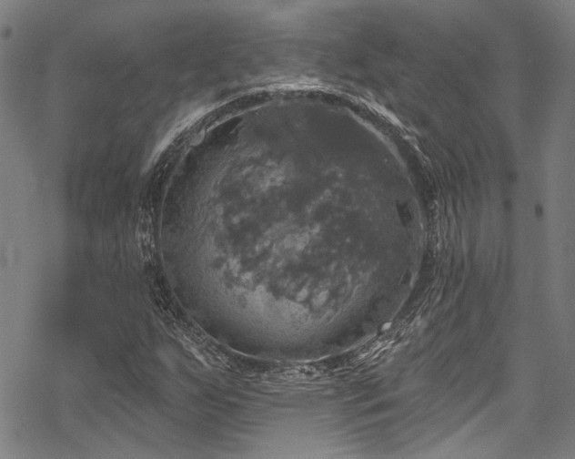 X0000068841255200605051253