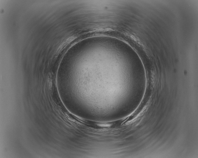 X0000068841257200605051253