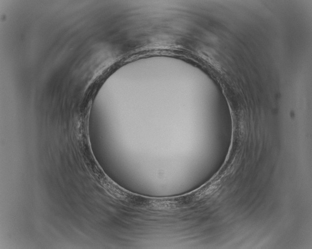 X0000068841258200605051253