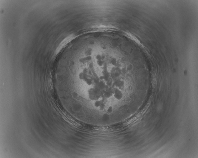 X0000068841259200605051253