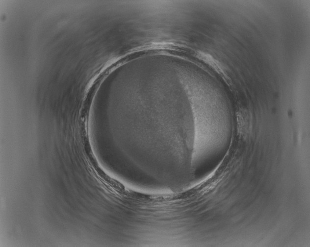 X0000068841260200605051253