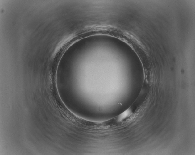 X0000068841261200605051253