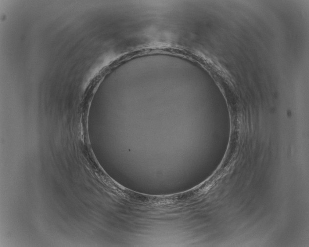 X0000068841262200605051253