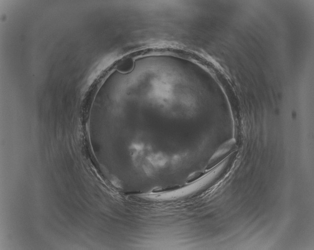 X0000068841263200605051253