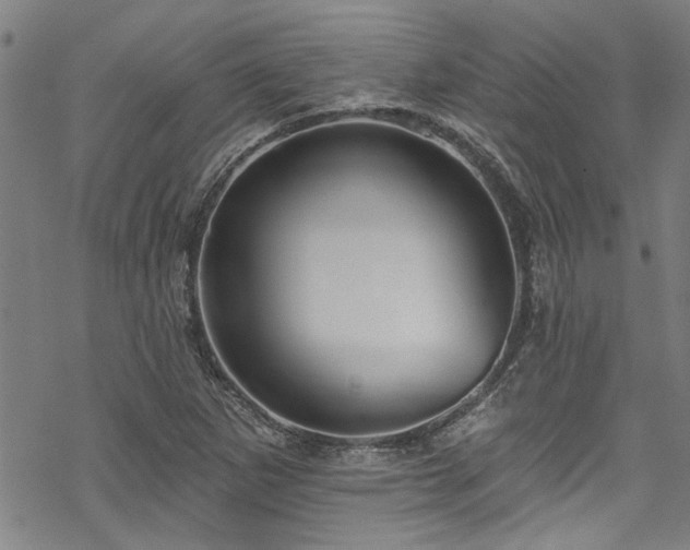 X0000068841265200605051253