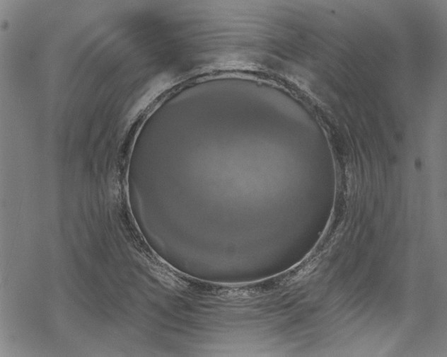 X0000068841266200605051253