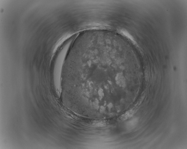 X0000068841267200605051253