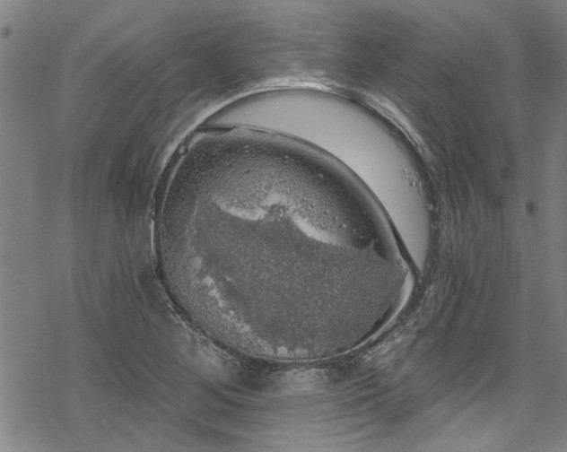 X0000068841268200605051253