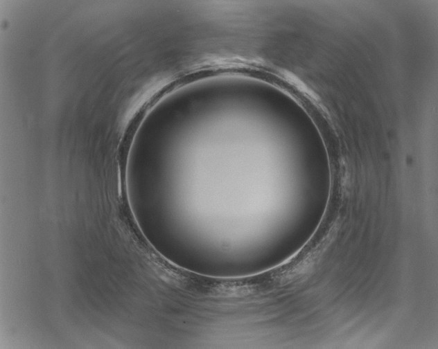 X0000068841269200605051252