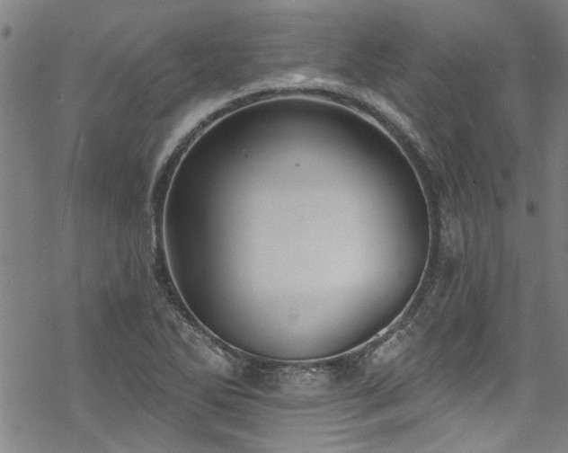 X0000068841270200605051252