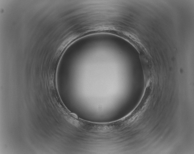 X0000068841273200605051252