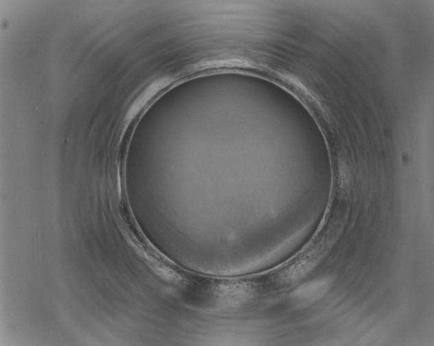 X0000068841274200605051252