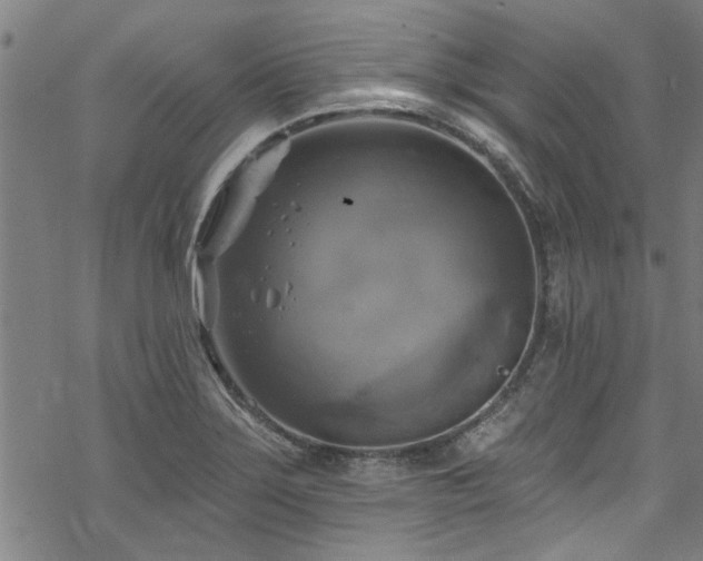 X0000068841275200605051252