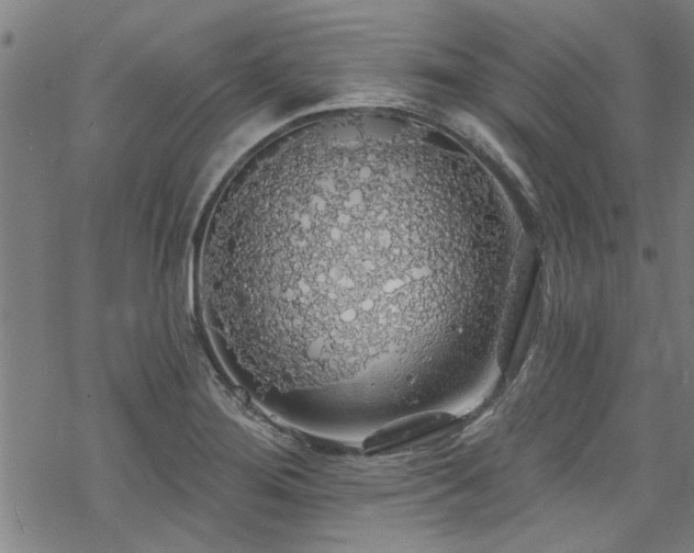 X0000068841276200605051252