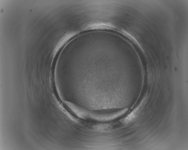 X0000068841277200605051252