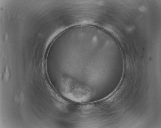 X0000068841278200605051252