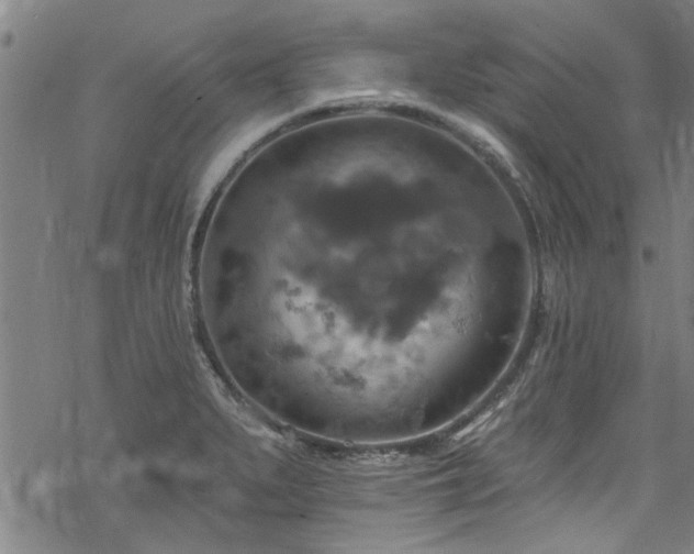 X0000068841279200605051252