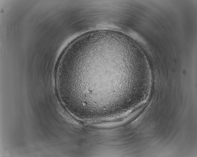 X0000068841280200605051252