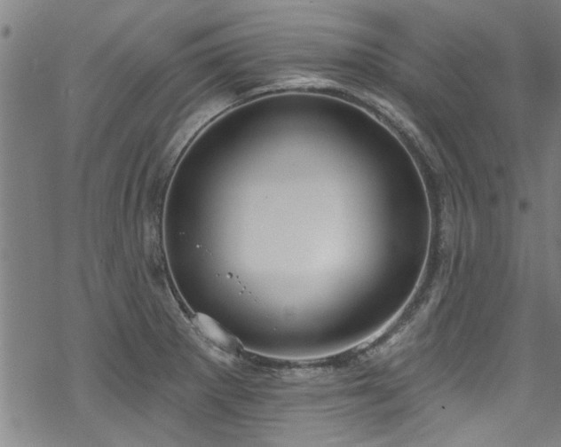 X0000068841281200605051252