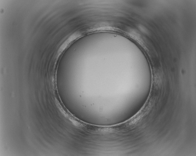 X0000068841282200605051252