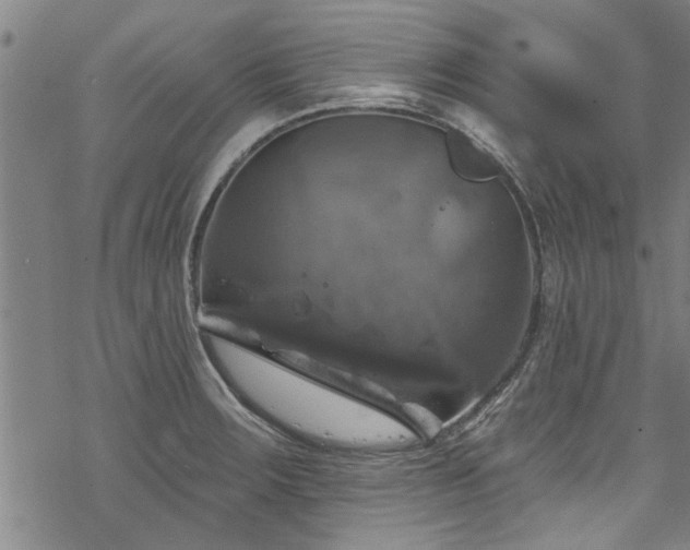 X0000068841283200605051252