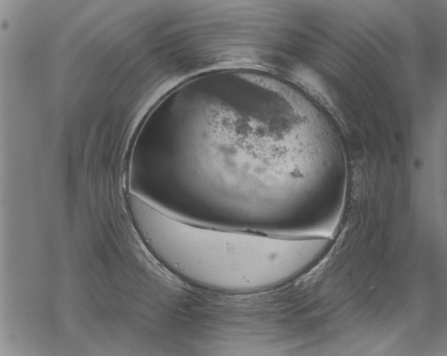 X0000068841284200605051252