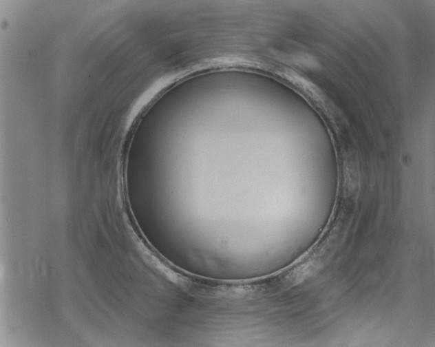 X0000068841286200605051252