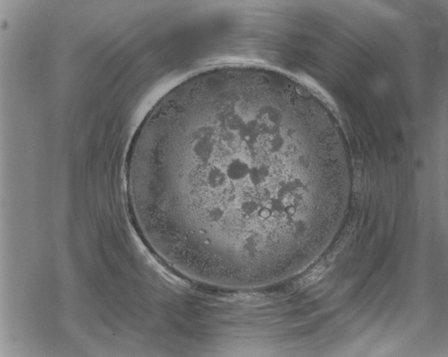 X0000068841287200605051252