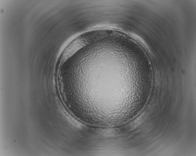 X0000068841288200605051252