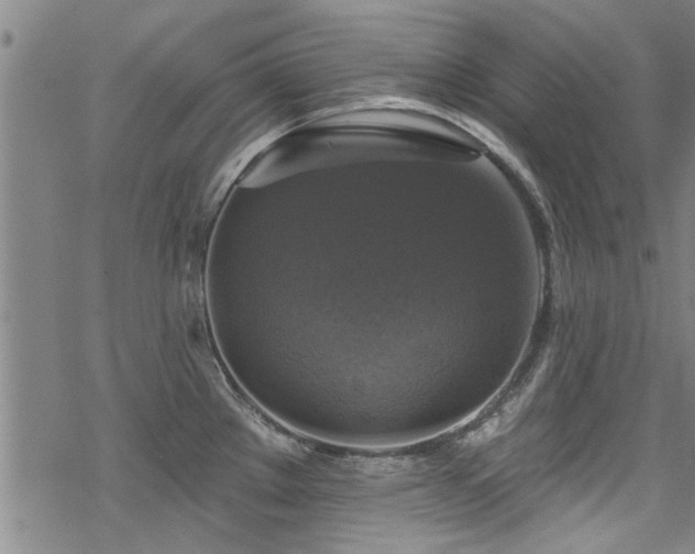 X0000068841289200605051252