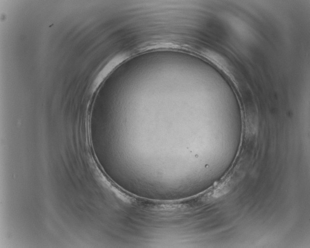 X0000068841290200605051252